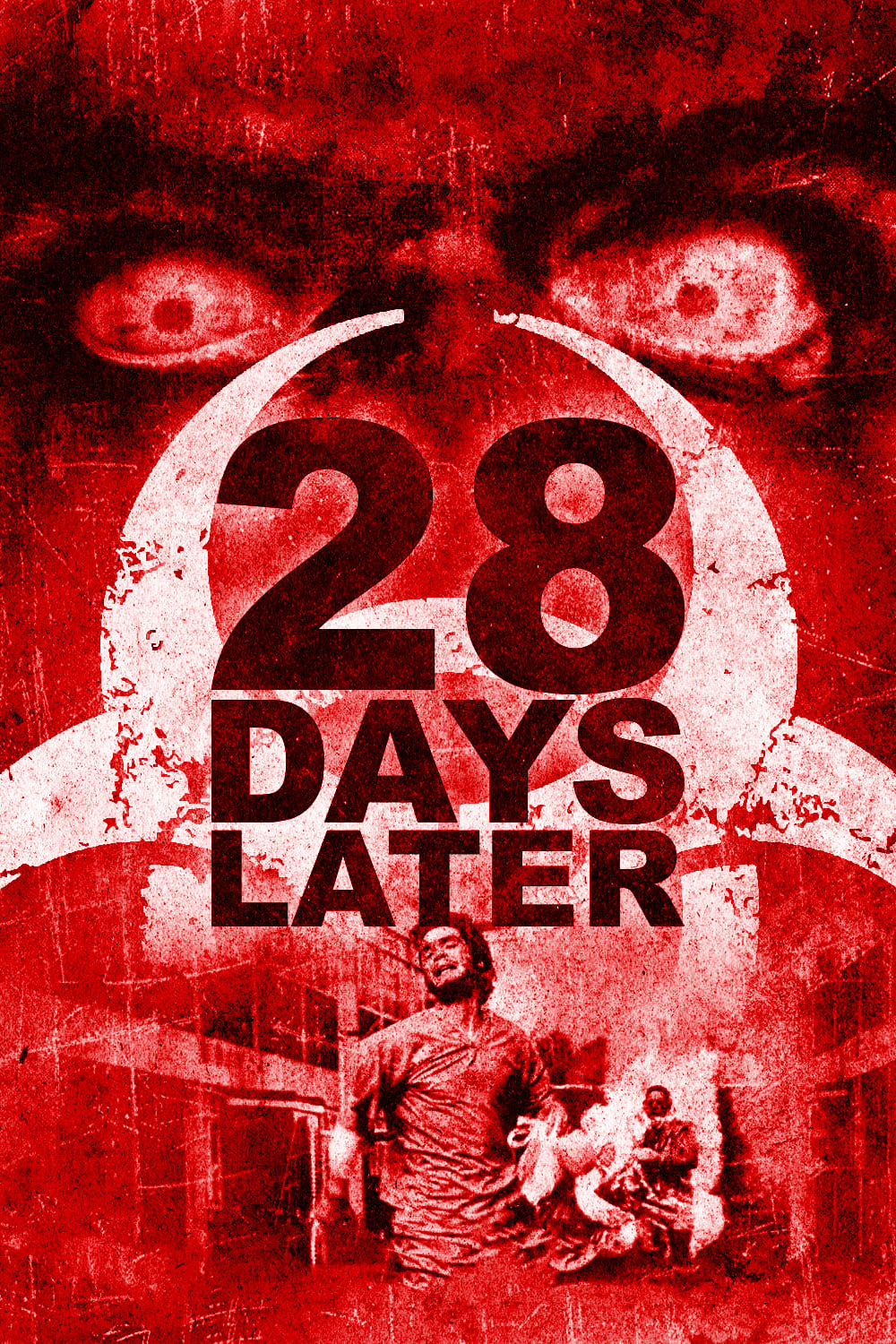 دانلود فیلم 28 Days Later بیست و هشت روز بعد