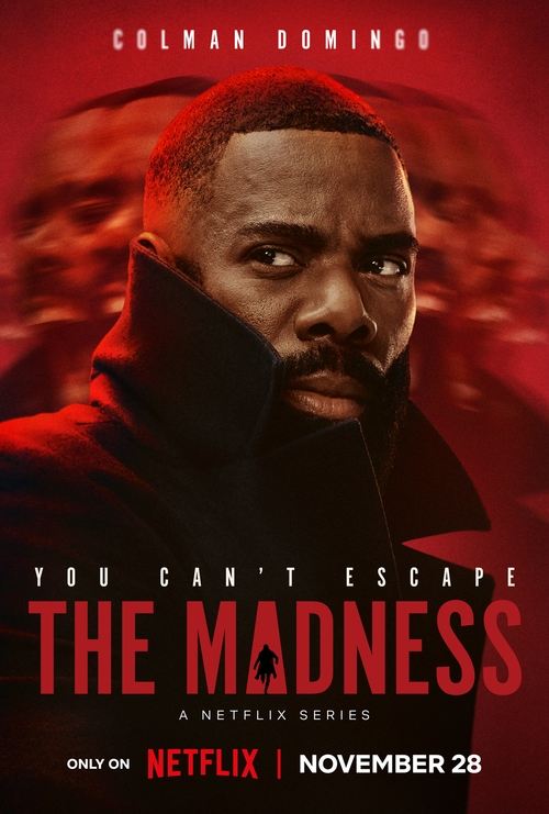 دانلود سریال جنون – The Madness